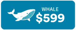 Whale